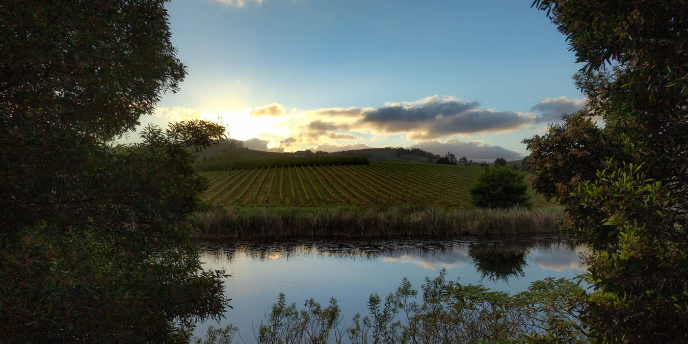 Highlands Road Vineyards